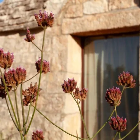 Villa Trullo Di Luna